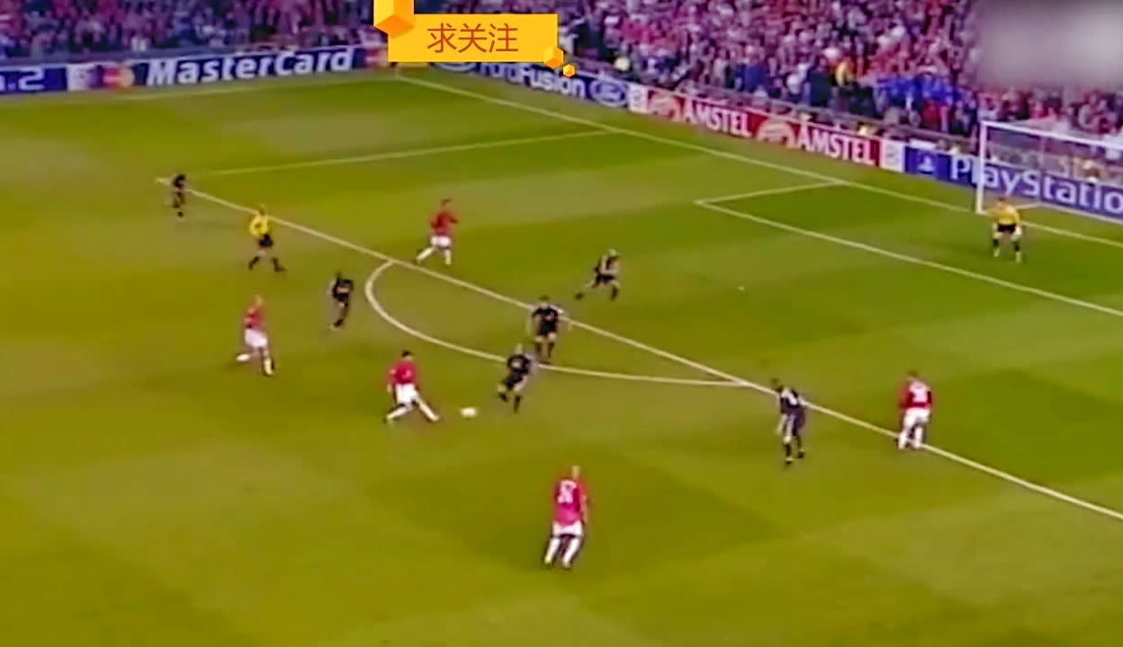 不仅有家族 不仅有家族